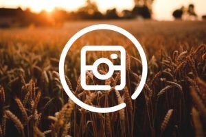 Mejores Apps para Instagram